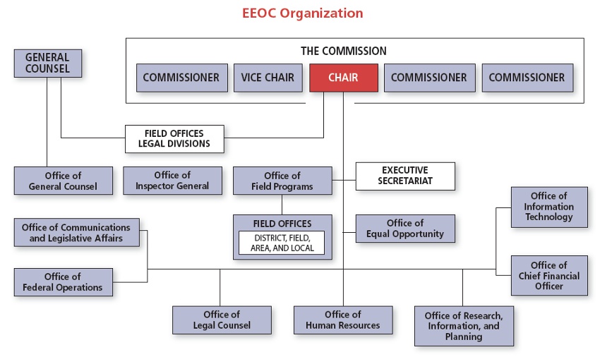 new_org_chart